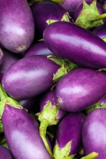 Eggplant