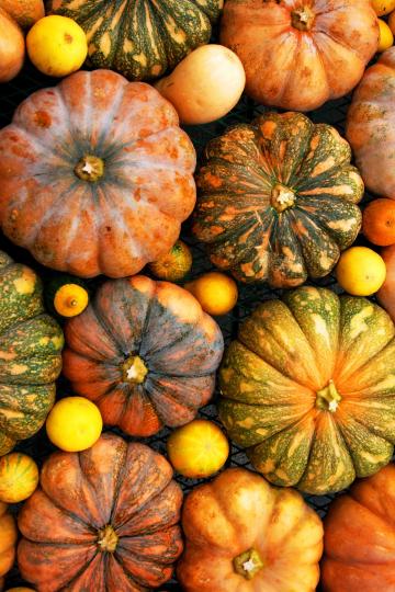 Pumpkin