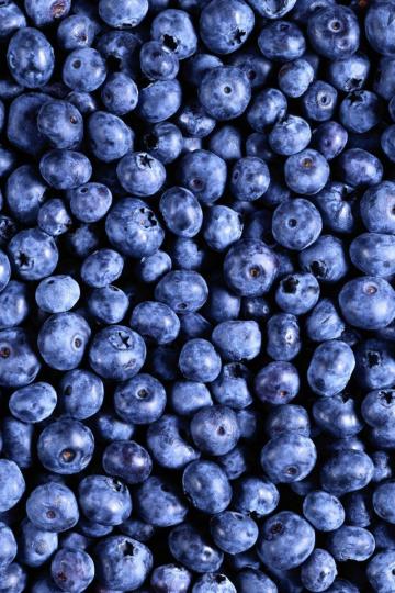 Blueberry