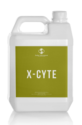 X-Cyte