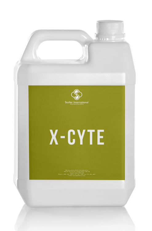 X-Cyte